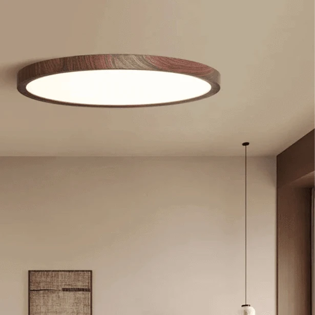Smart Minimalist LED Ceiling Light - Futura's Studio