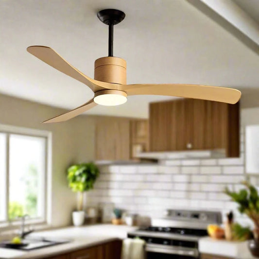 smart ceiling fan with light Remote Control - modern Futura's Studio